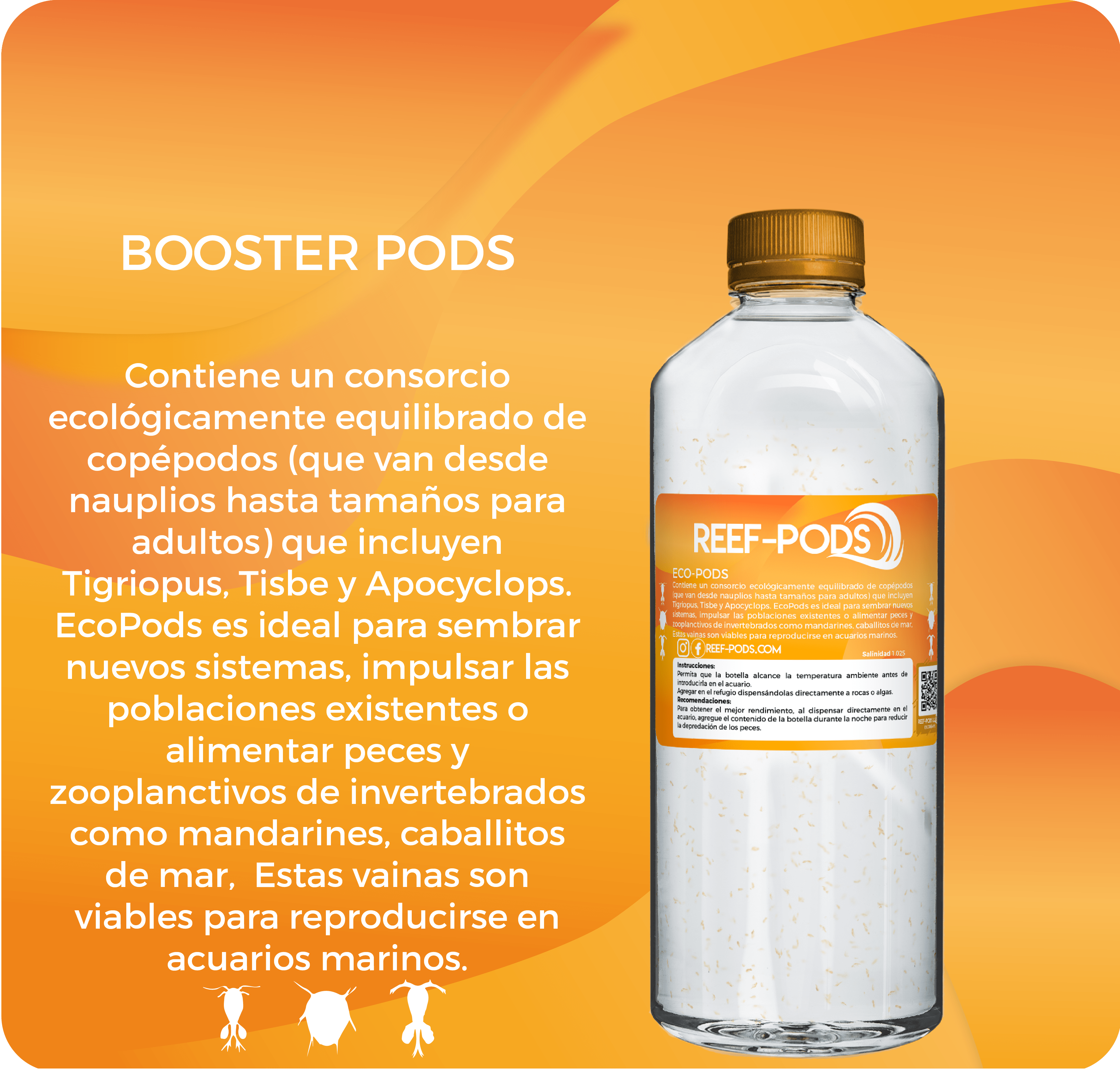BOOSTER PODS 500ml