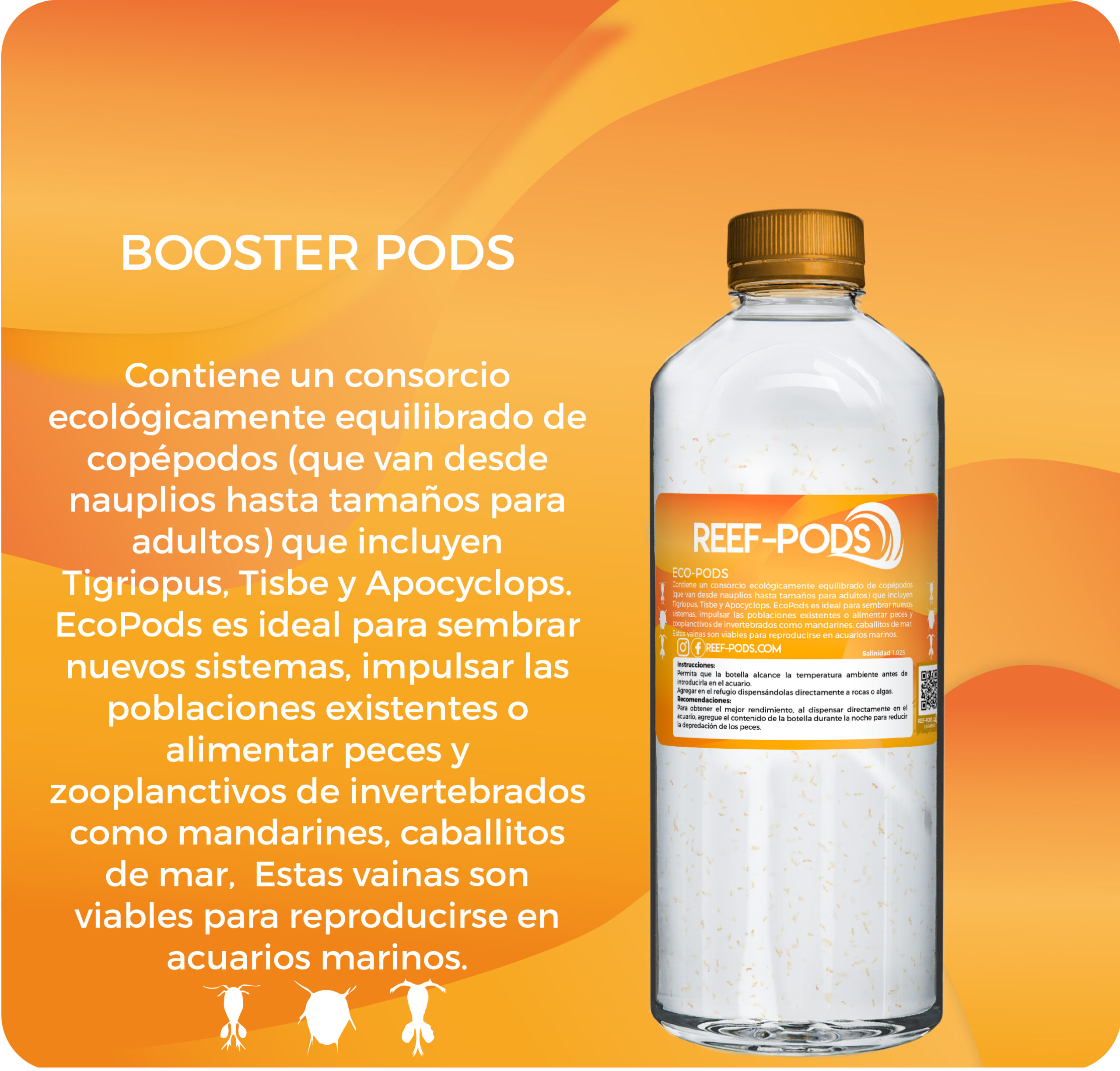 BOOSTER PODS 500ml